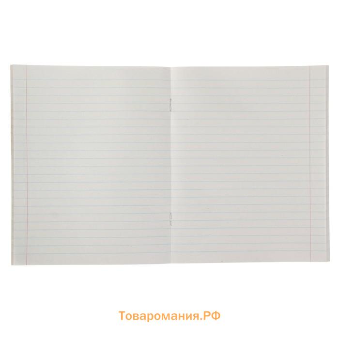 Тетрадь 48 листов в линейку Calligrata «Узоры», обложка мелованный картон, блок офсет, МИКС