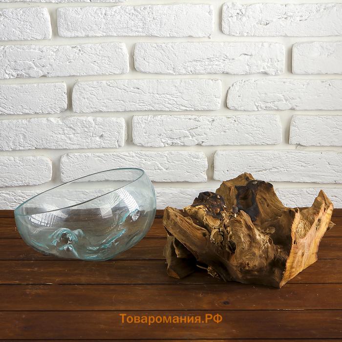 Ваза на дереве «Забота», 23×19×13 см, стекло, МИКС