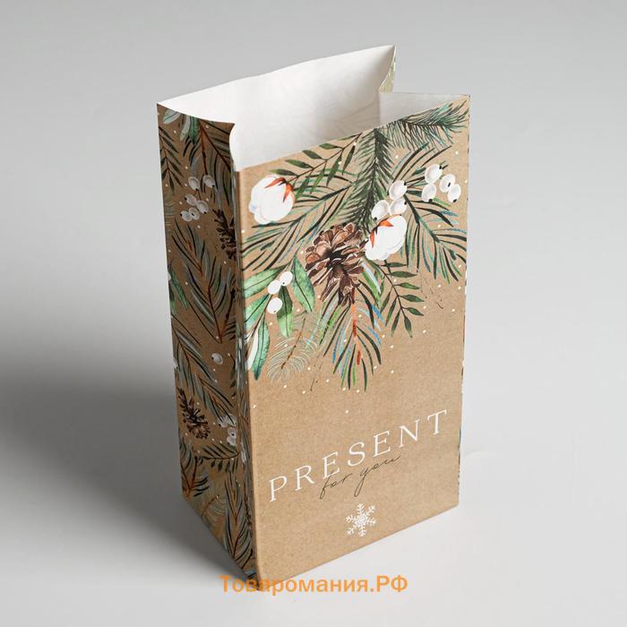 Пакет без ручек «Present for you», 10 х 19.3 х 7 см, Новый год