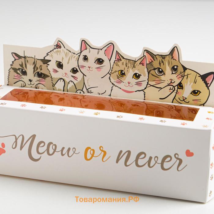 Коробка для макарун кондитерская, упаковка «Meow or never», 18 х 5,5 х 5,5 см