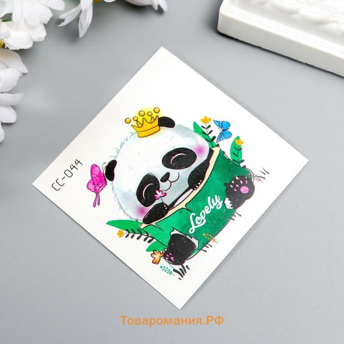Переводная тату на тело цветная «Панда в короне», 6×6 см