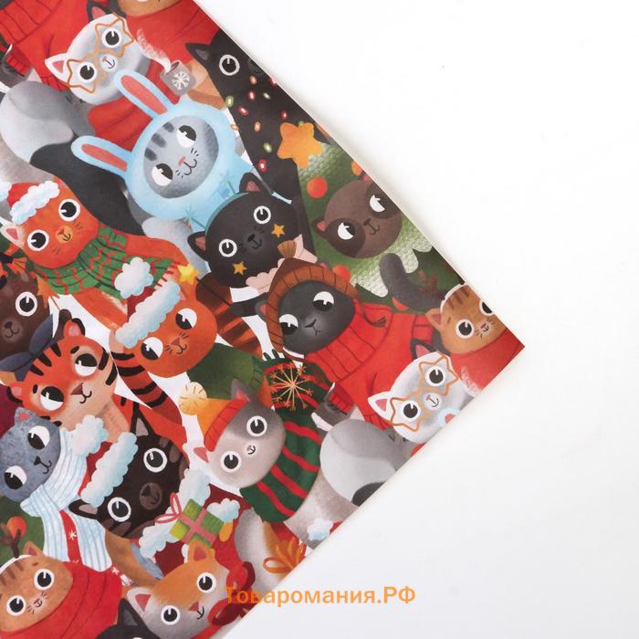 Бумага упаковочная крафтовая «Котики», 50 × 70 см