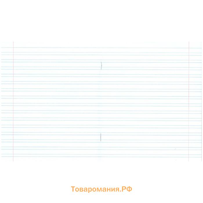 Тетрадь 12 листов в узкую линейку "Зеленая обложка" бумажная фабрика, офсет №1, 60 г/м2, белизна 96%