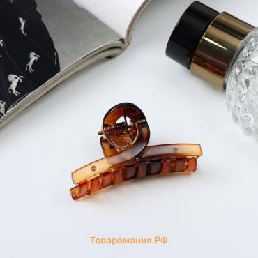 Краб для волос «Эстер», петля, 5 см, МИКС